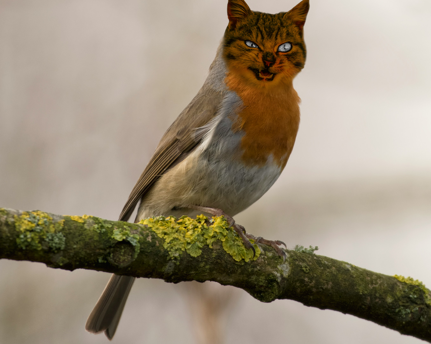 Animal mashup composite